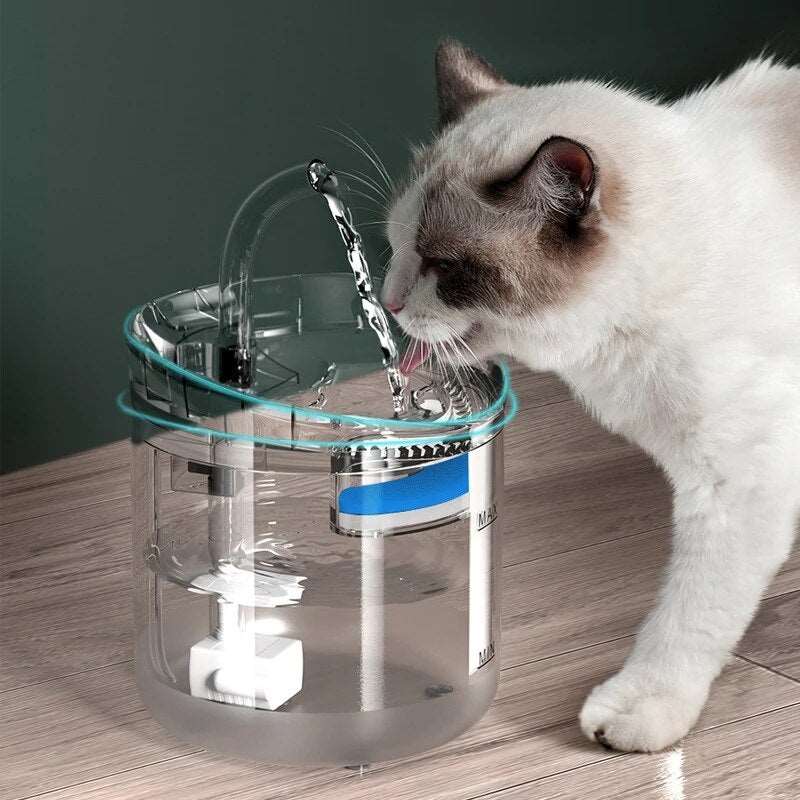Fonte de água para Pets - 2L com torneira - Bebedor transparente com filtro